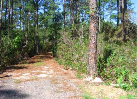 BAYOU CREEK ESTATES - Land