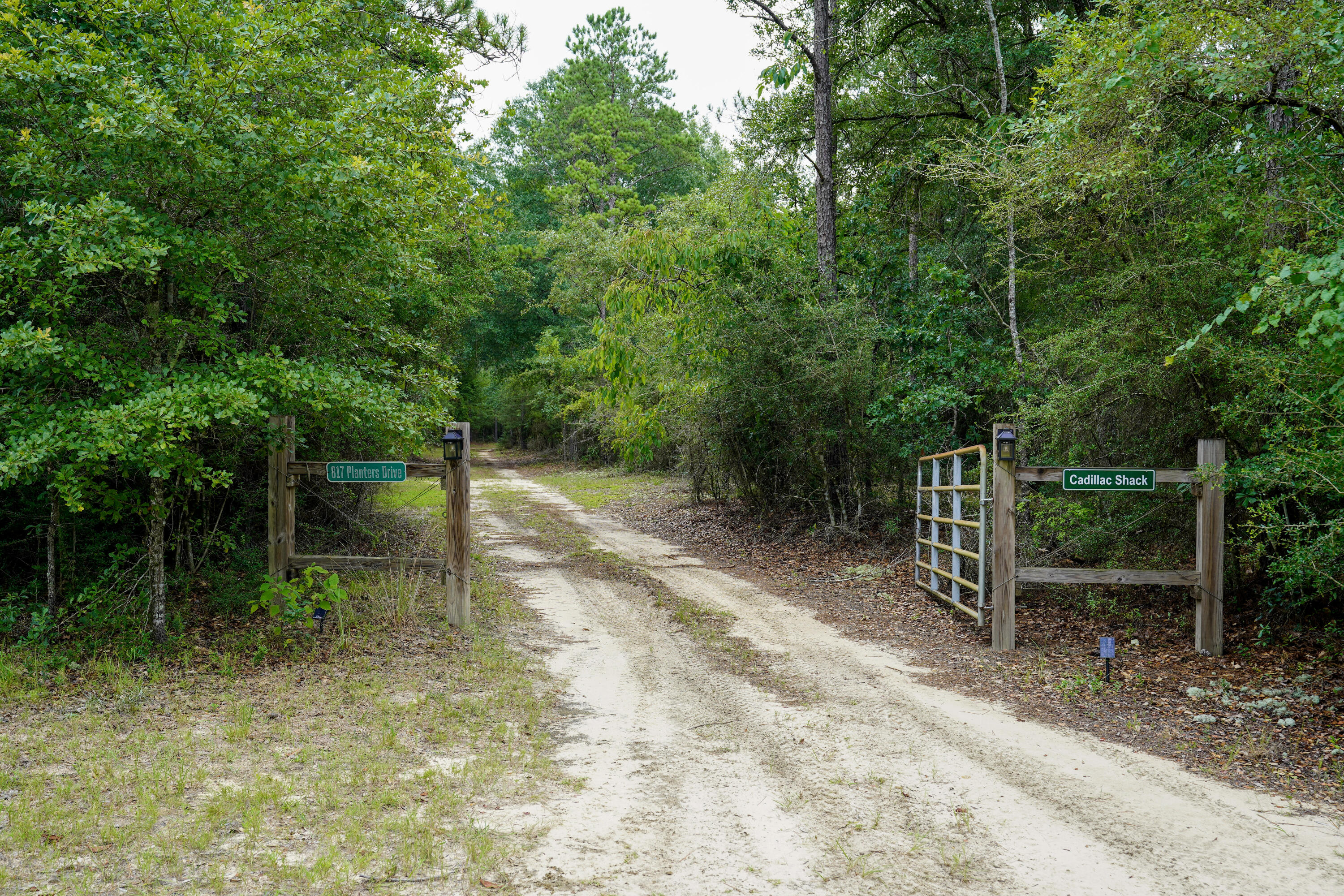 WALTON PLANTATION - Residential
