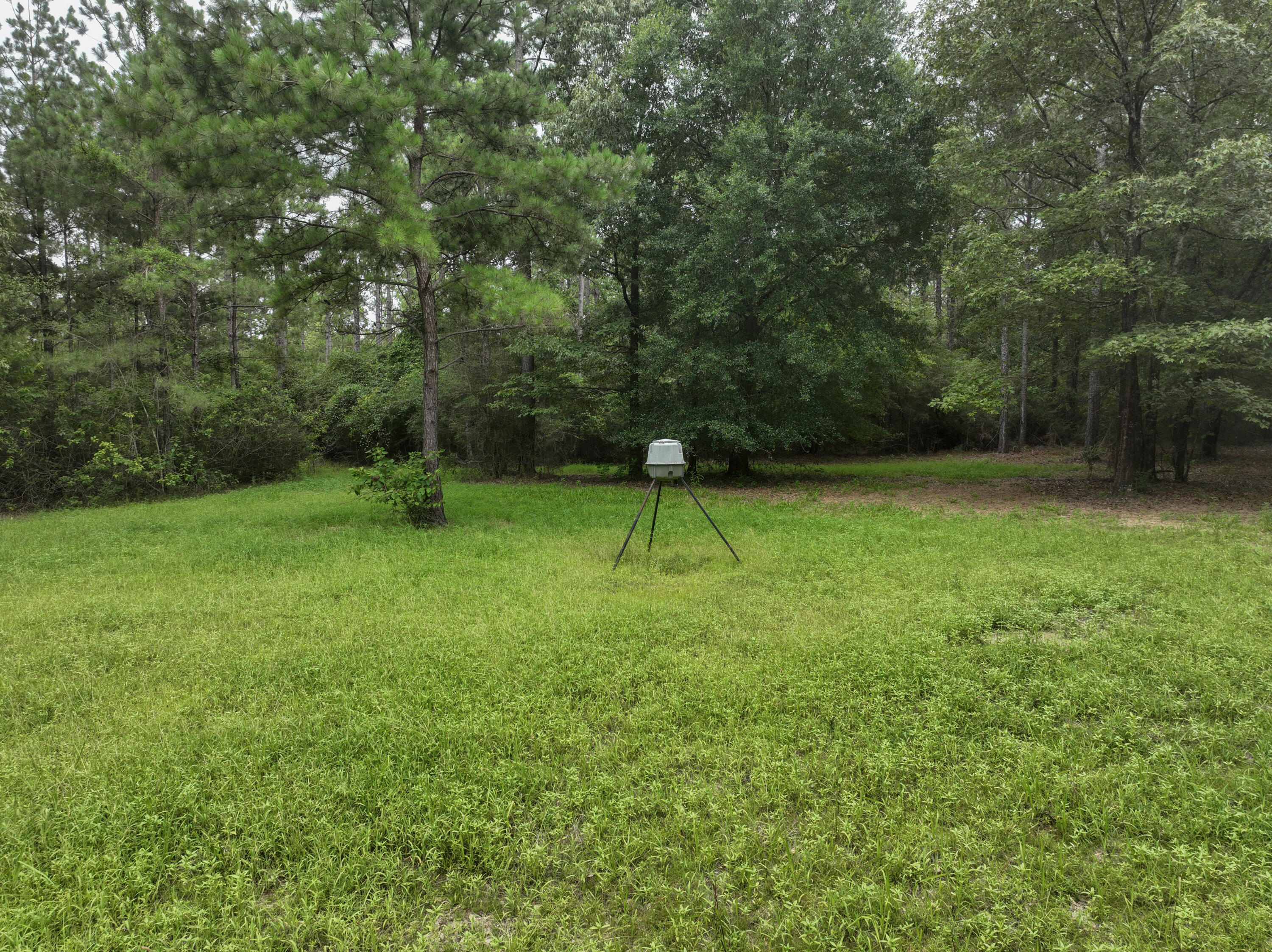 WALTON PLANTATION - Residential