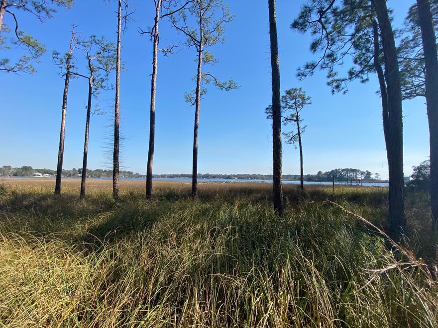 Beautiful Water Front Lot on LaGrange Bayou waiting for your dream home.  Approximately 122 waterfront feet, 0.87 acres, minutes by boat to the bay and minutes to the Freeport Regional Sports Complex. City water and sewer available.  DEP Permits for home, dock and walkway were approved, but will need to be renewed prior to construction.