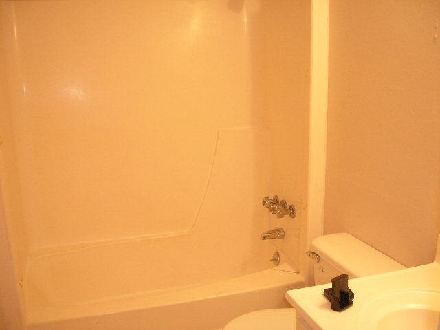 FOUNTAINHEAD CONDO - Residential Lease