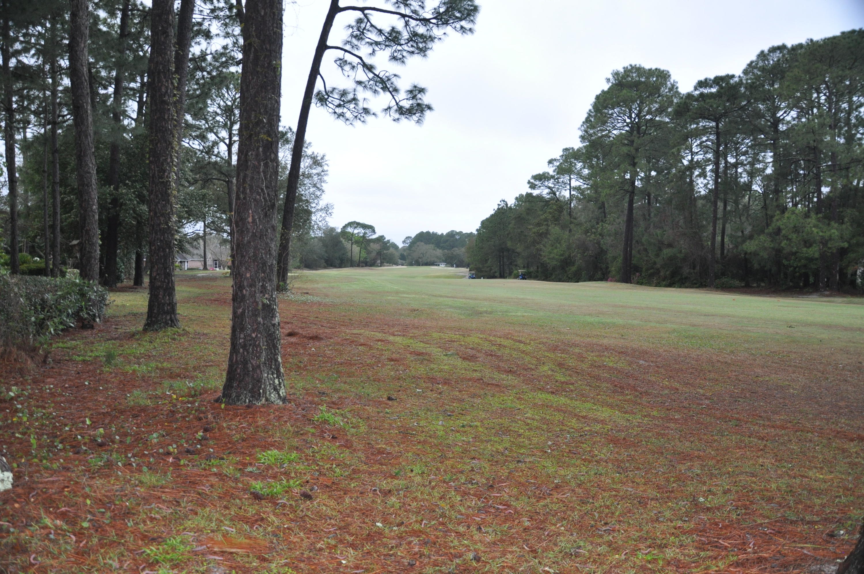 TURNBERRY PLACE - Residential