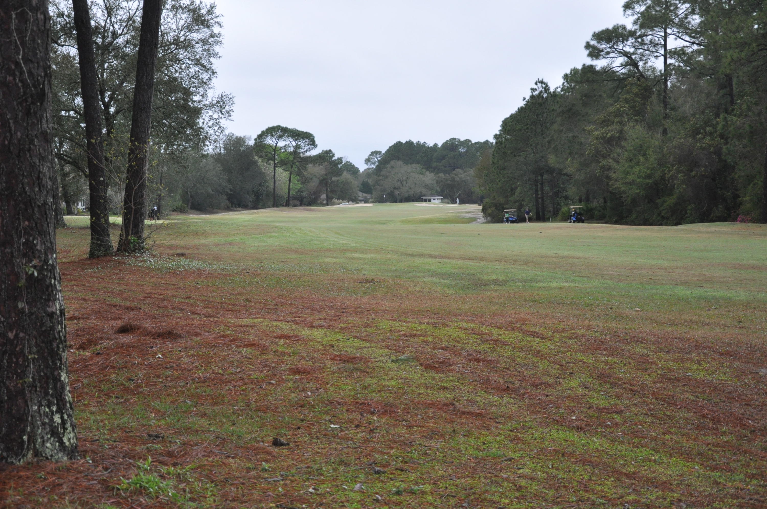 TURNBERRY PLACE - Residential
