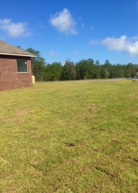 Peach Creek Phase II - Residential