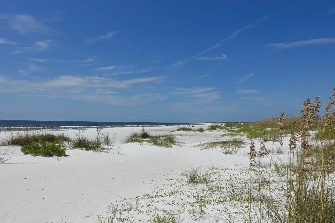 Mexico Beach, Florida 32456, United States, 5 Bedrooms Bedrooms, ,4 BathroomsBathrooms,Residential,Active,42764