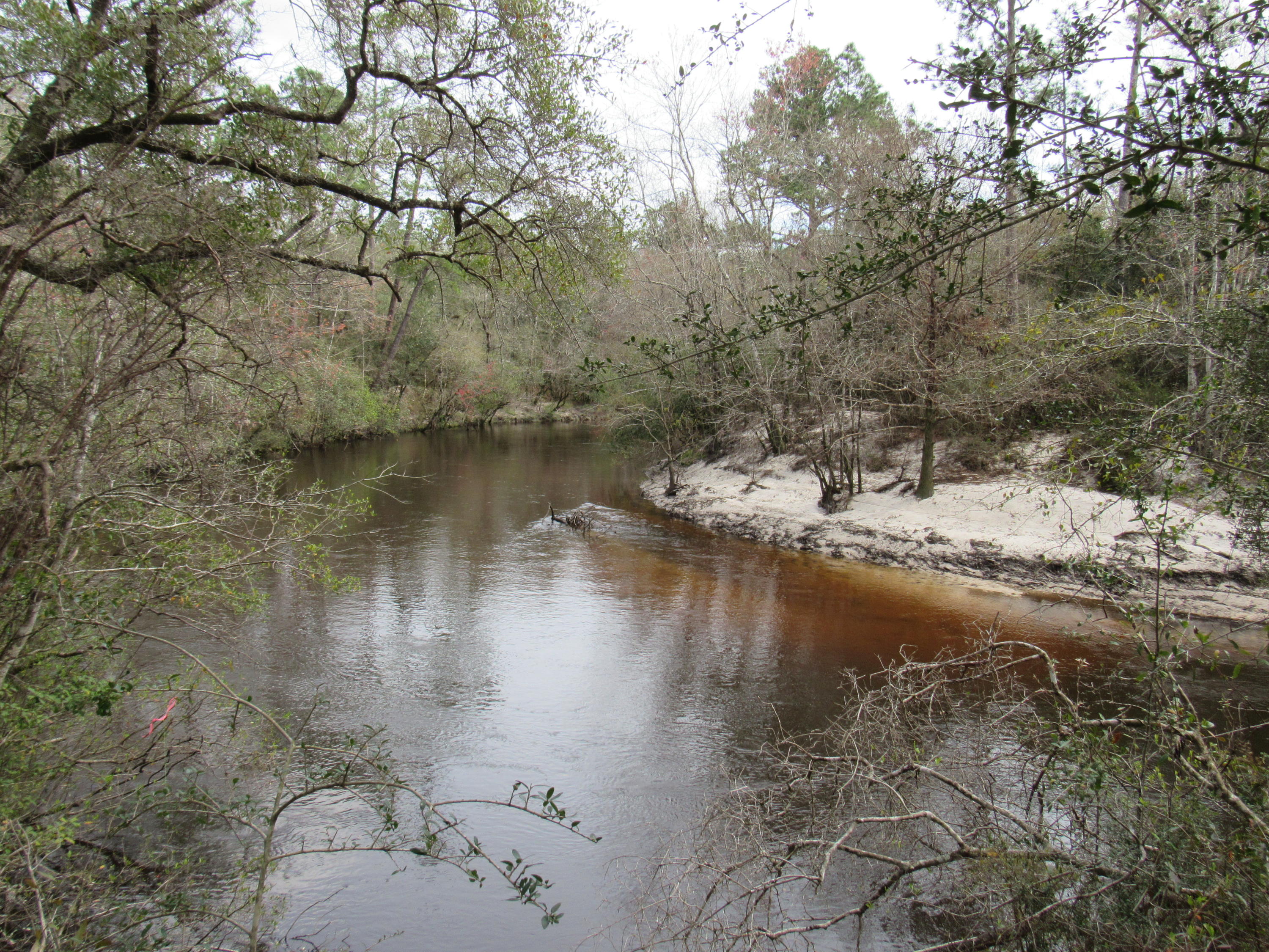 Price REDUCED! Peace and Quiet on the Shoal River! Don't miss the chance to own this one-of-a-kind private retreat with 650+/- feet on Shoal River. Enjoy your days camping out, fishing and swimming at this beautiful property. ATV trails have been cut throughout the property and there is an area set-up to bring the RV. This is truly one of the last large river properties available in this area. You must have an appointment to view this property so be sure to call today!