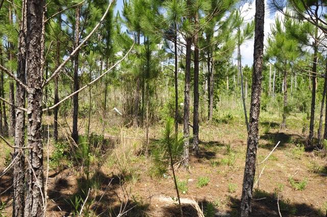 UNREC SEASHORE ESTATES - Residential