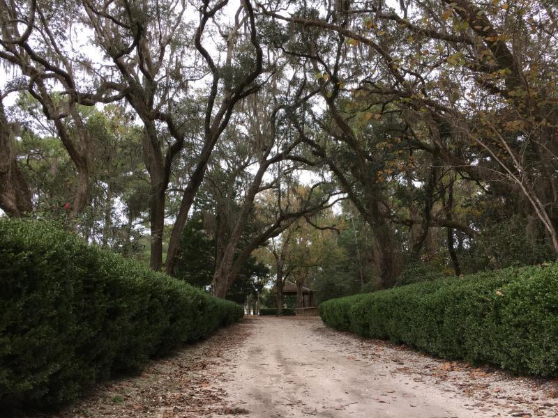 AUDUBON POINT - Residential