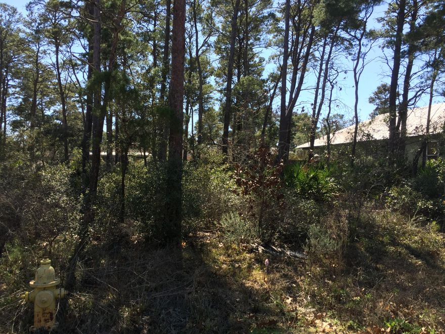 JUST REDUCED! Priced to sell, this beautifully wooded lot in Gulfview Heights is conveniently located with great proximity to the beautiful beaches of South Walton and wonderful size to build your dream home. There is no active HOA in this neighborhood which means no build-out time. You can make your dreams happen on your schedule! Live where @MSNTravel has described as having ''so many quaint, must-stop destinations you may forget you are in the same state as Miami''...Highway 30A!