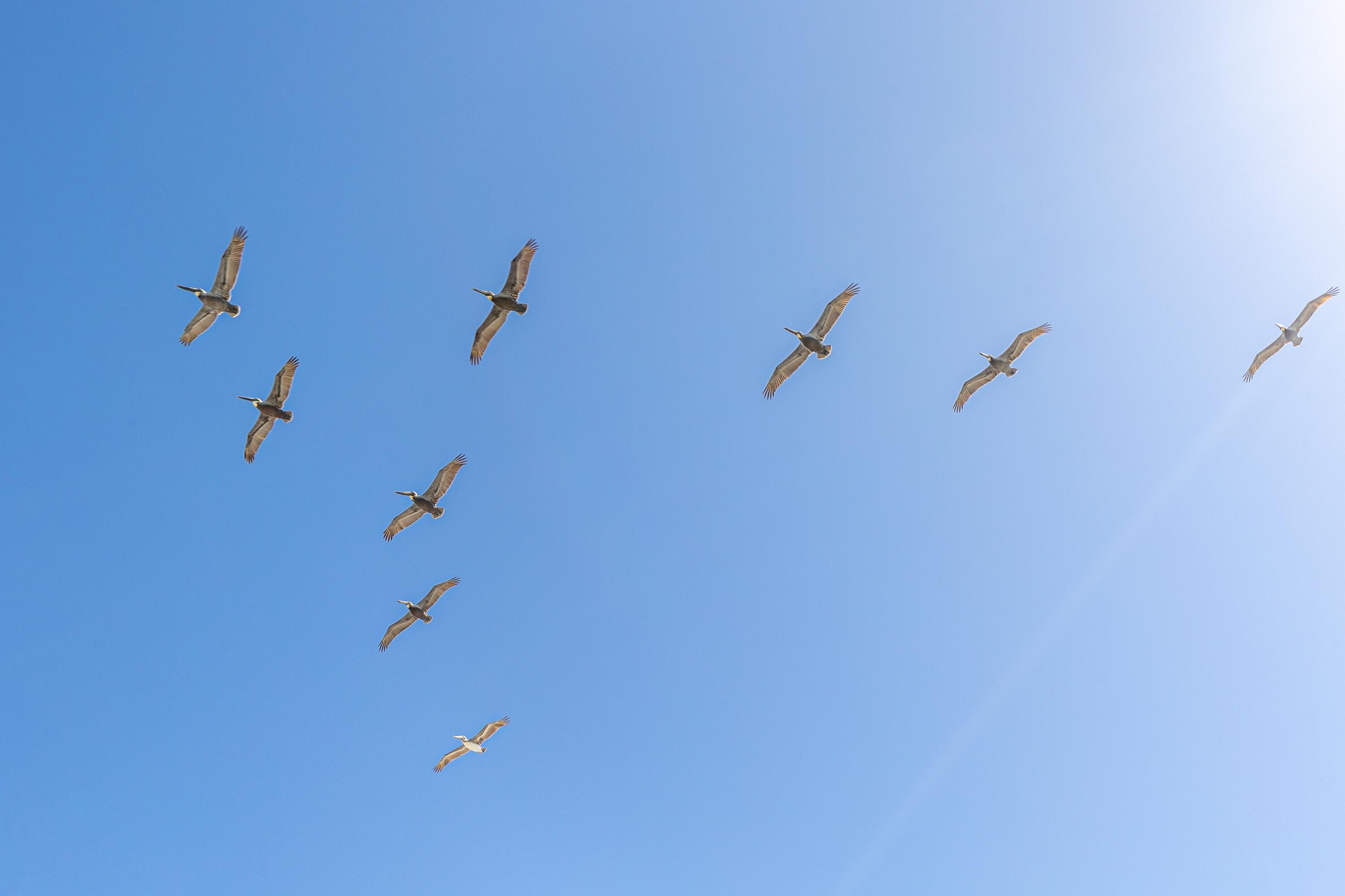 SEAGROVE 3RD ADDN - Residential