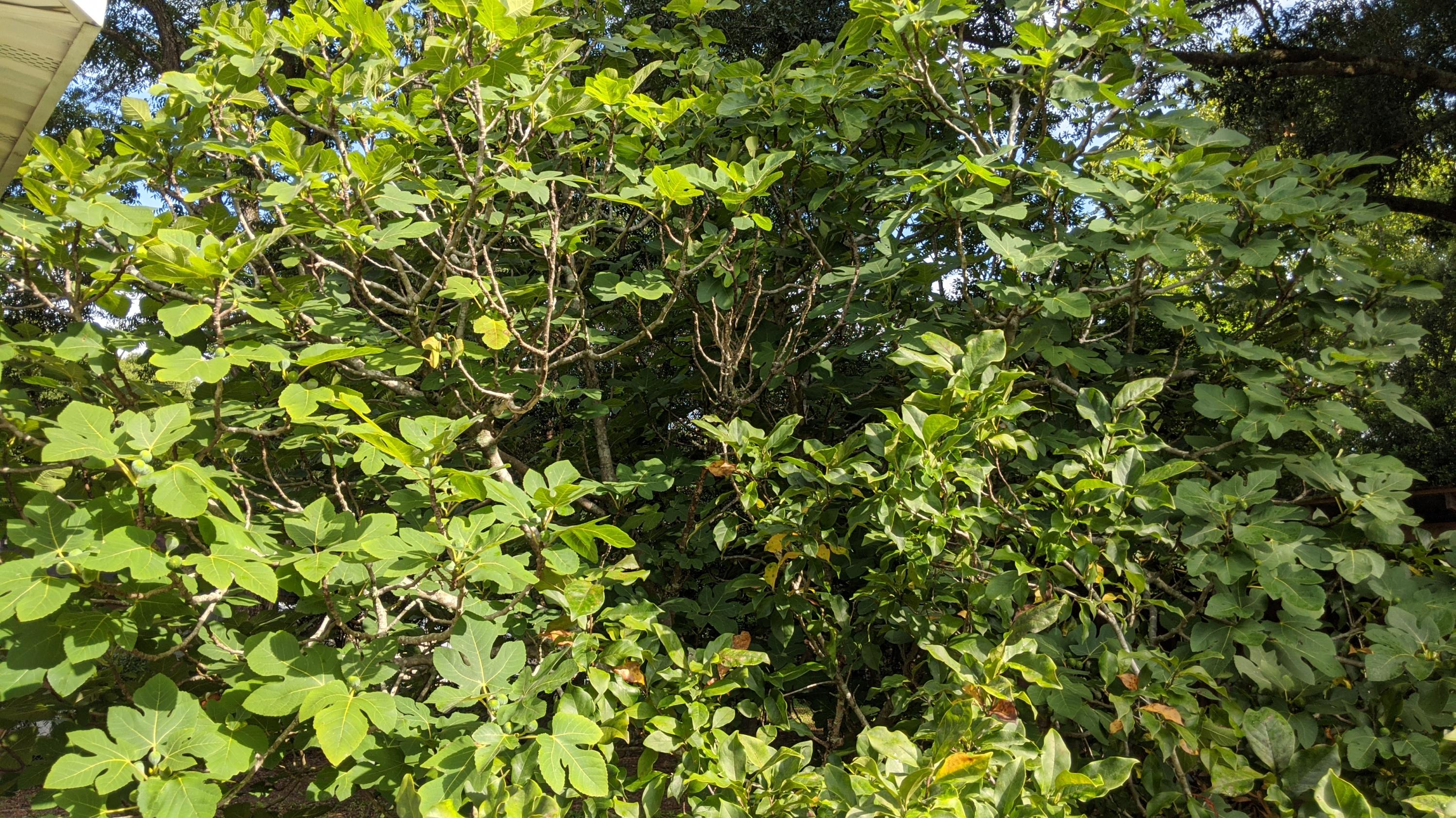 HUDSON ADDN TO CRESTVIEW - Residential