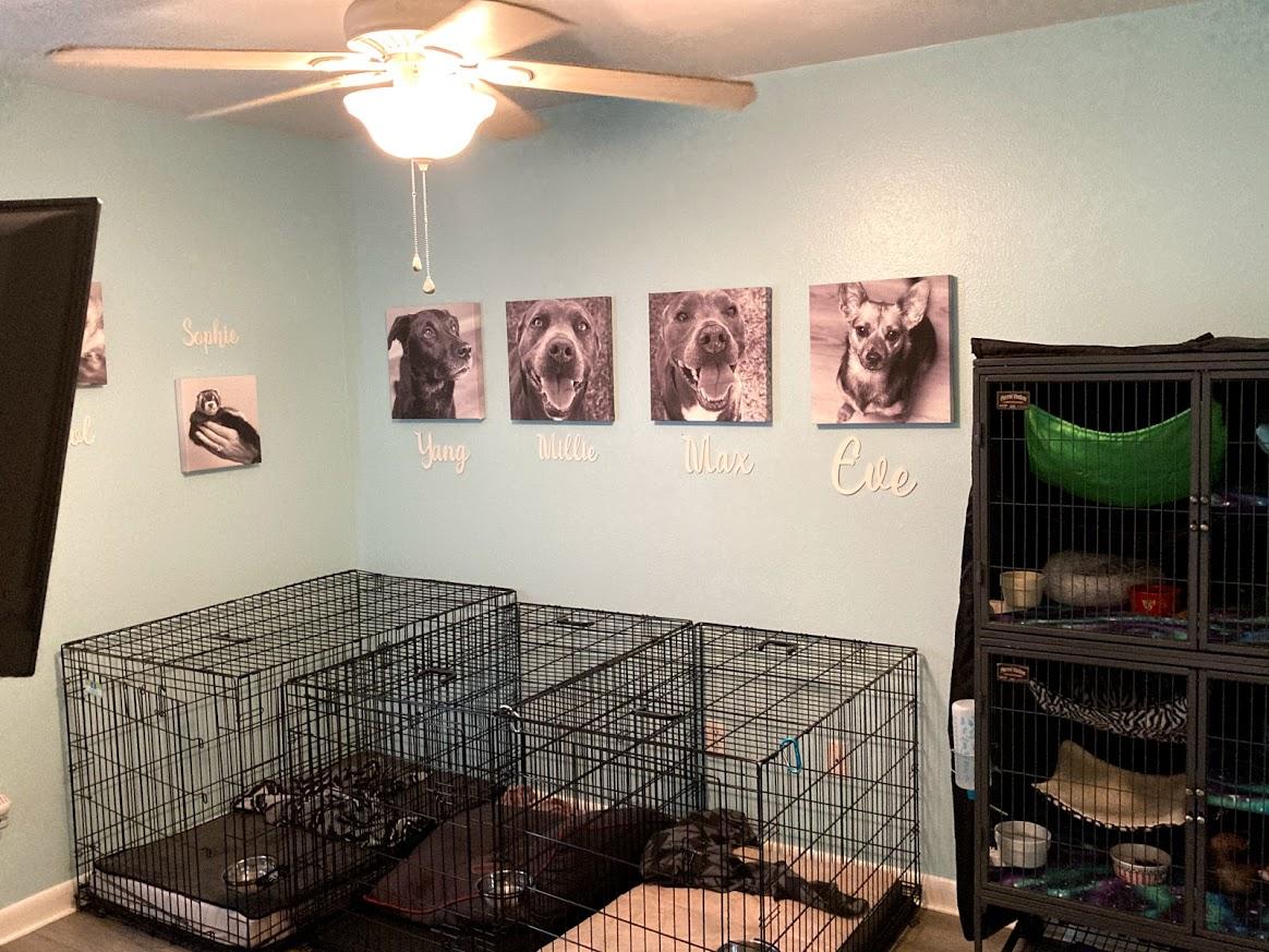 OAK HAVEN - Residential