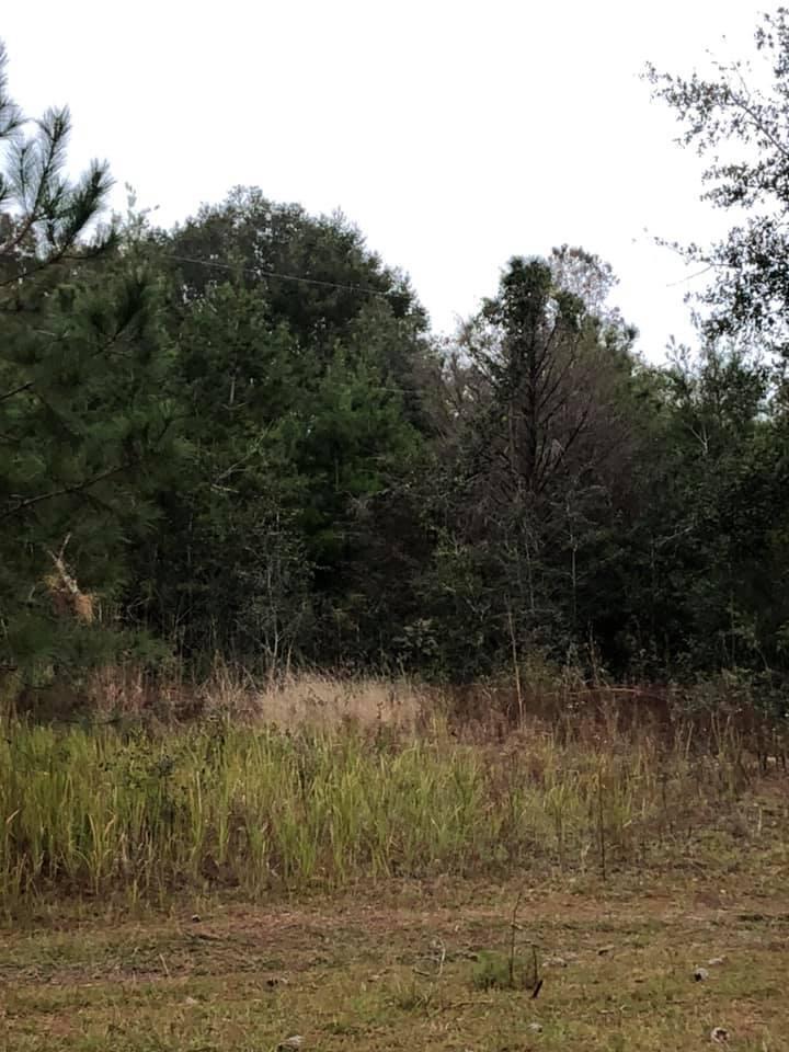 Highway 81 South - Land