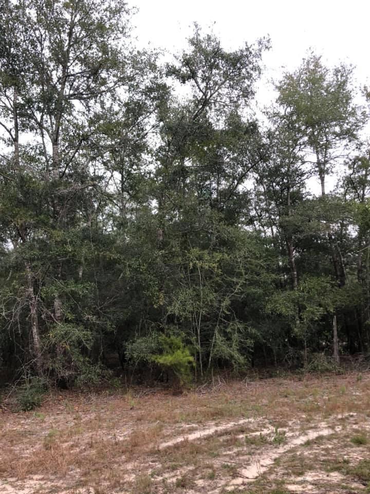 Highway 81 South - Land