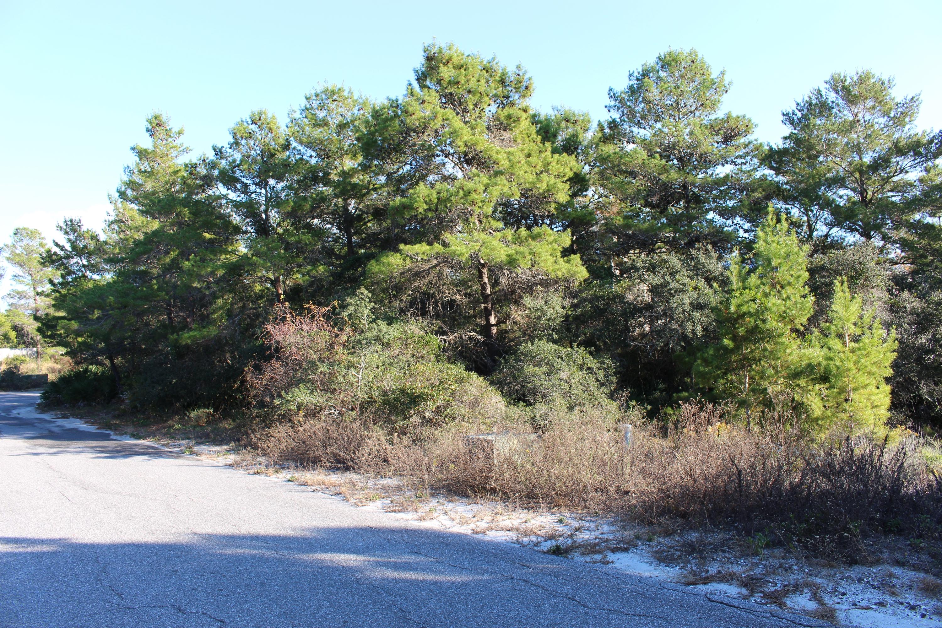 Great vacant lot just off of Hwy 30-A, close to beach access, stores, entertainment, restaurants, and more. Come get it while you still can!