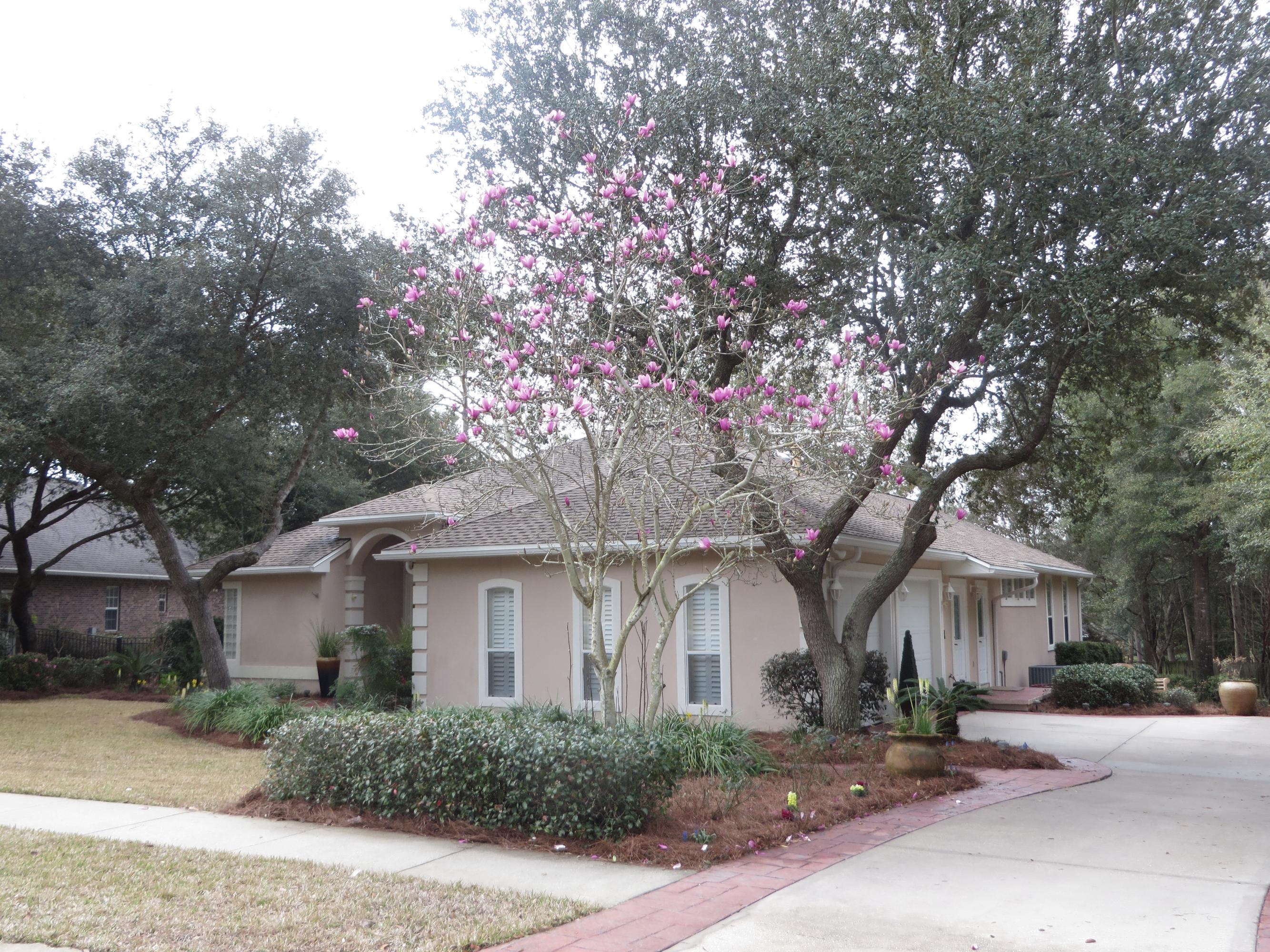 SWIFT CREEK PH 1 - Residential