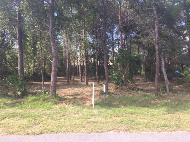 Conveniently located close to Gulf Place, Blue Mountain Beach and Grayton Beach and close to the beach at the Soouth of 30A in Gulfview Heights at public beach access. NO HOA FEES! The lot is importantly located outside (CDLPZ) Coastal Dune Lake Protection Zone and in Flood Zone X, where no flood insurance required. Tap fees are required for utilities. Lot size 75x100