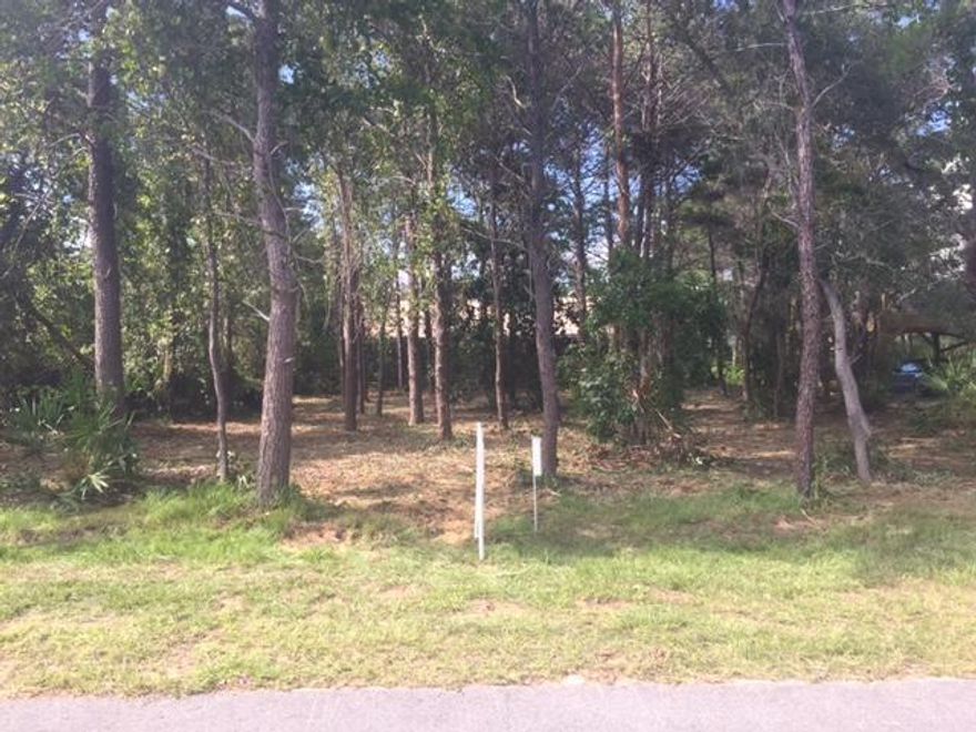 Conveniently located close to Gulf Place, Blue Mountain Beach and Grayton Beach and close to the beach at the Soouth of 30A in Gulfview Heights at public beach access. NO HOA FEES! The lot is importantly located outside (CDLPZ) Coastal Dune Lake Protection Zone and in Flood Zone X, where no flood insurance required. Tap fees are required for utilities. Lot size 75x100