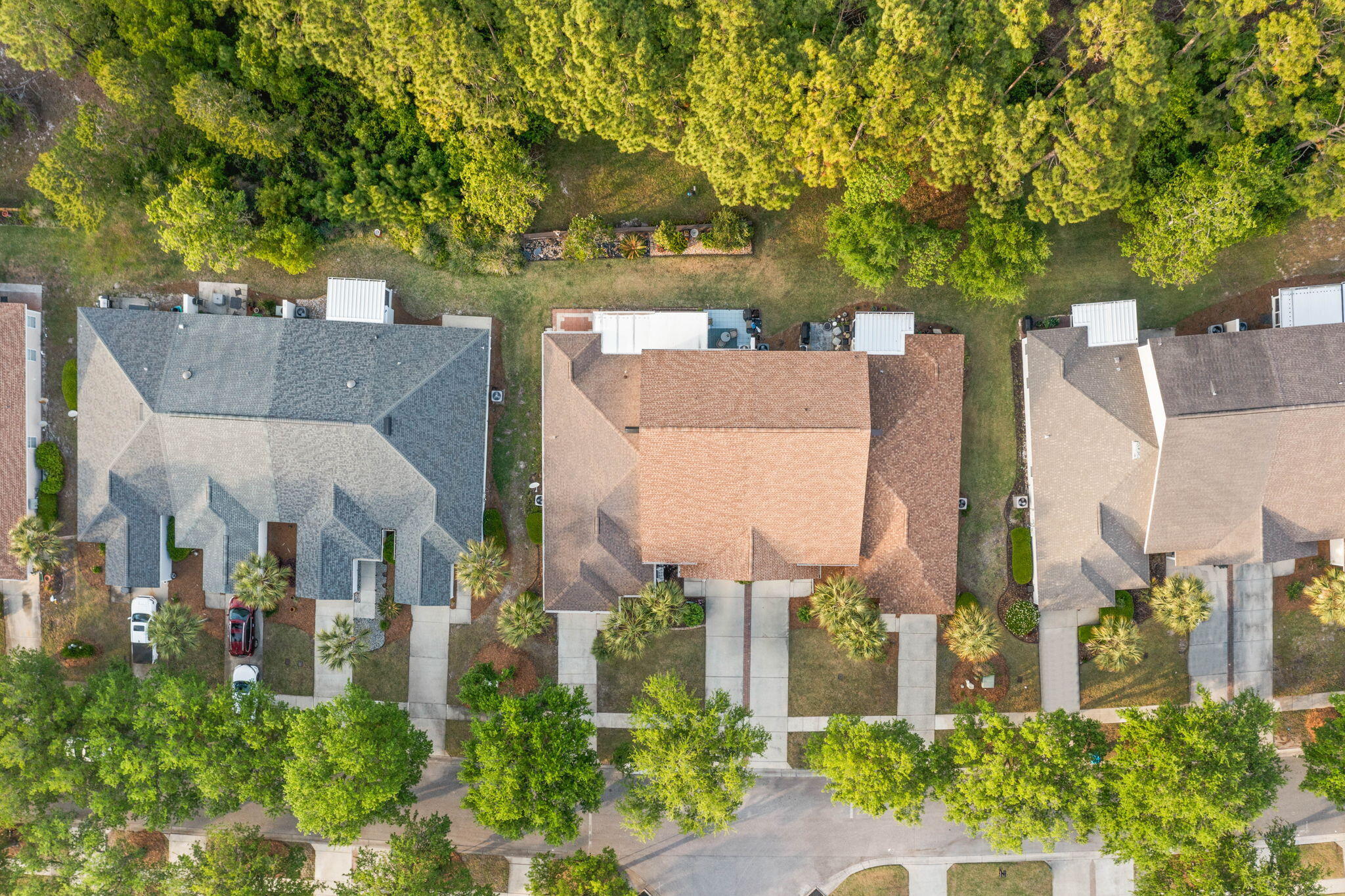 Palmetto Trace - Residential