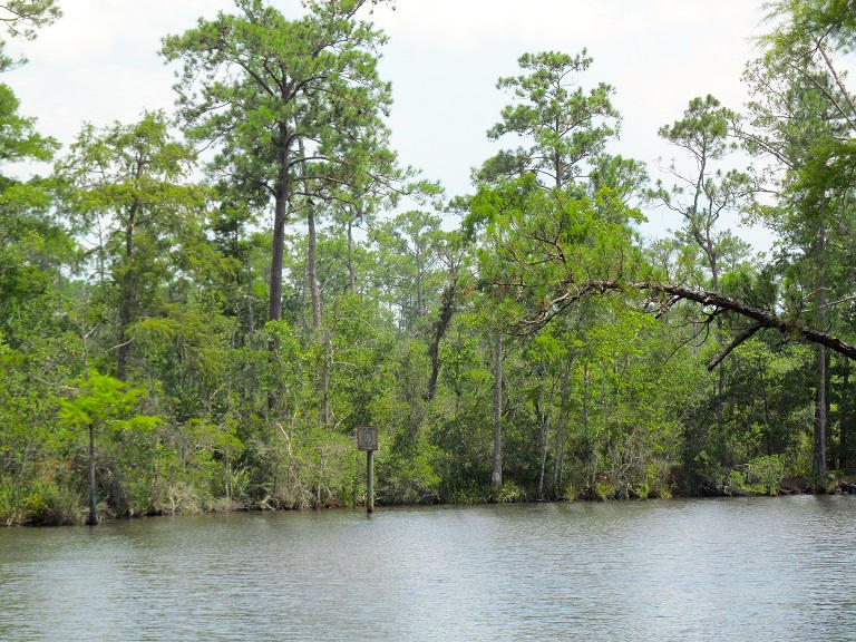 Attention fishermen, boaters and all watersports enthusiasts. Beautiful waterfront lot on Alaqua Creek, a deep water creek that offers excellent access to Alaqua Bayou & the bay! Beautiful trees. High & dry. Priced right!