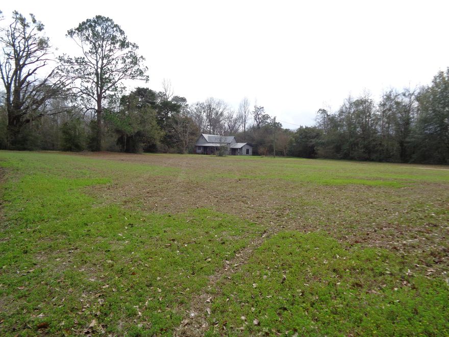 LOCATED IN THE NORTH END OF THE COUNTY THIS PROPERTY HAS 1.5 ACRES IN ALABAMA AND 9.7 IN FLORIDA. PROPERTY HAS A LARGE BUILDING LOCATED IN THE FRONT PORTION AS WELL AS ORGINAL HOMESTEAD. JUST MINUTES TO LAKE JACKSON, THIS PROPERTY GIVES YOU THE OPPORTUNITY TO BUILD YOUR DREAM HOME IN TOWN BUT WITH LAND! PROPERTY HAS TONS OF ROAD FRONTAGE AND COULD HAVE COMMERICAL POSSIBILITY!