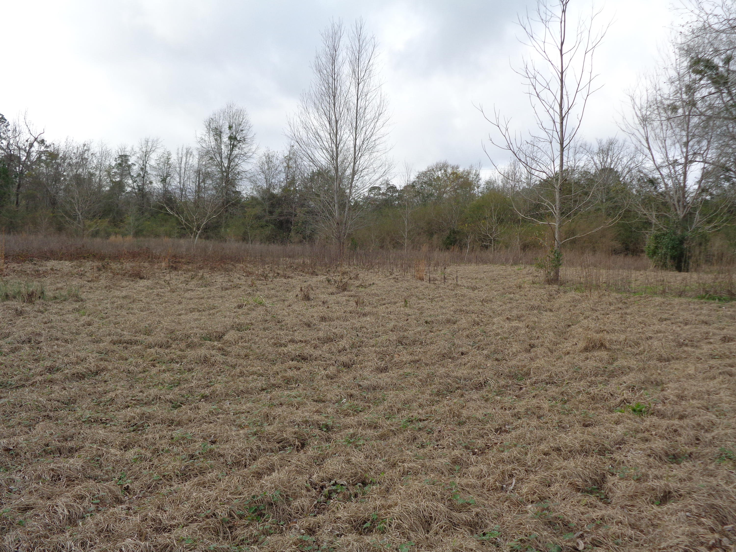 METES & BOUNDS - Land