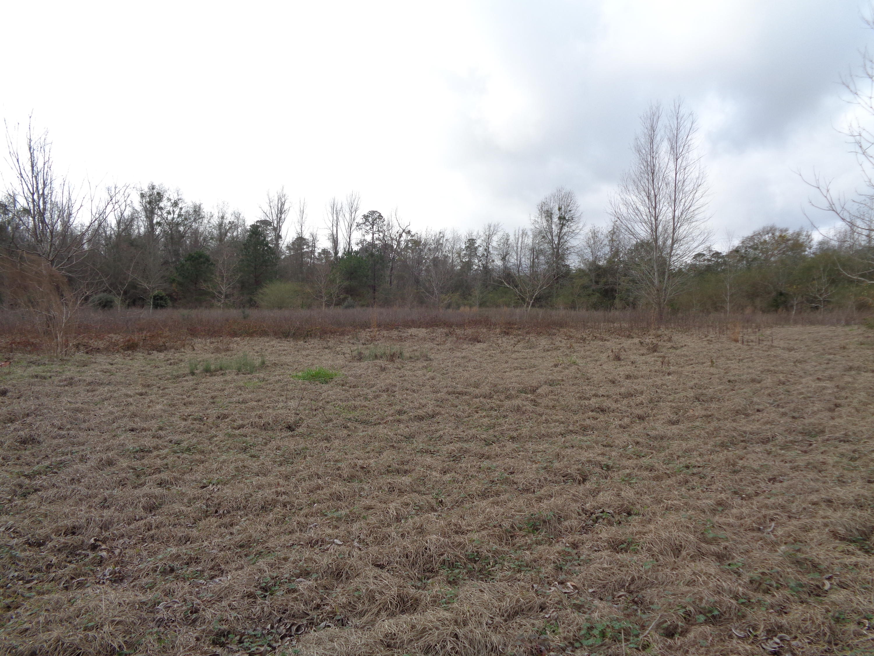 METES & BOUNDS - Land