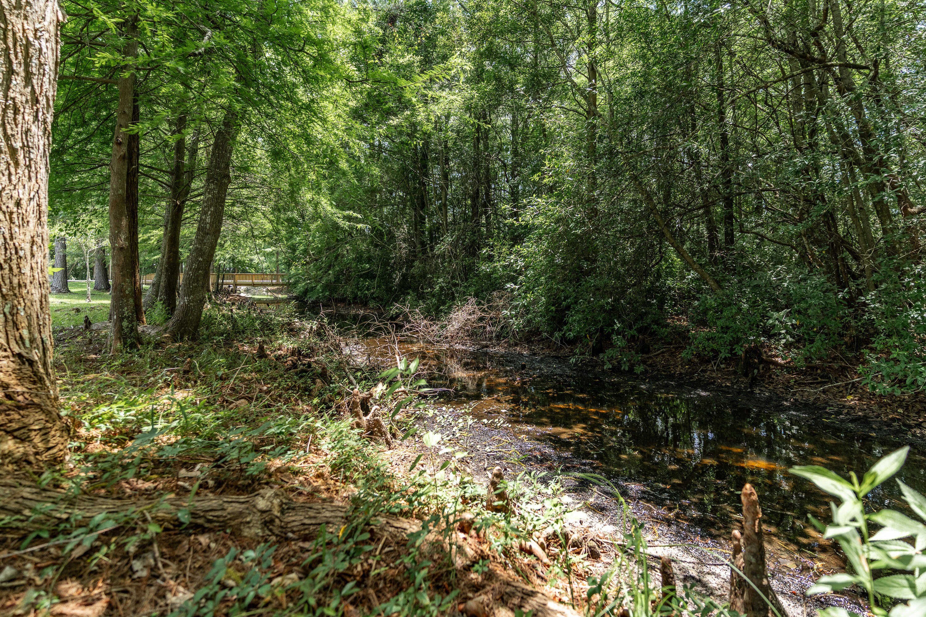 NORTH RIDGE CREEK S/D - Residential