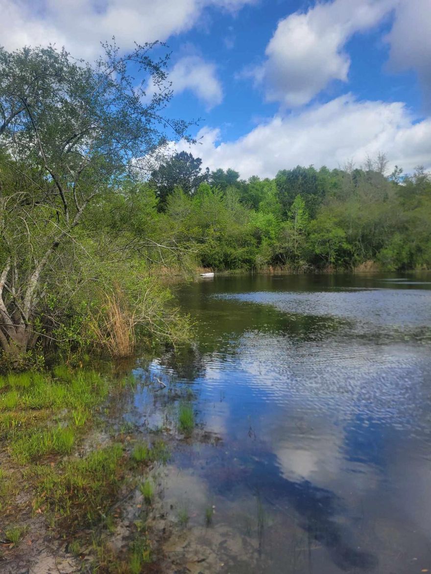 BEAUTIFUL BUILDING LOT ON A NICE Paved road, in the County. Wooded lot, you get to pick which trees are cut down.