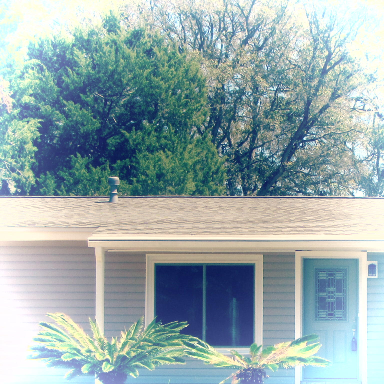 BRYN MAWR PARK LOT 29 - Residential