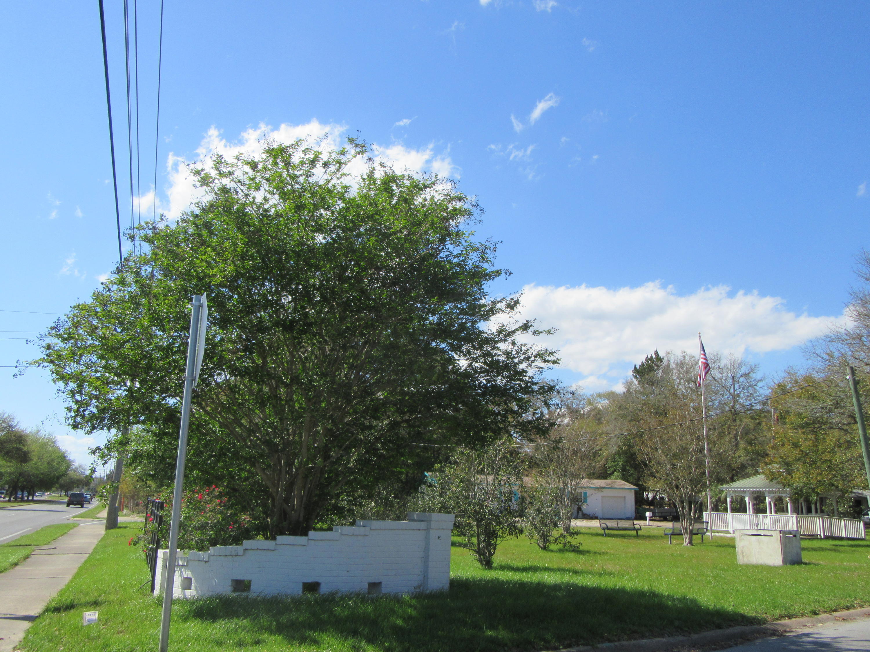 BRYN MAWR PARK LOT 29 - Residential