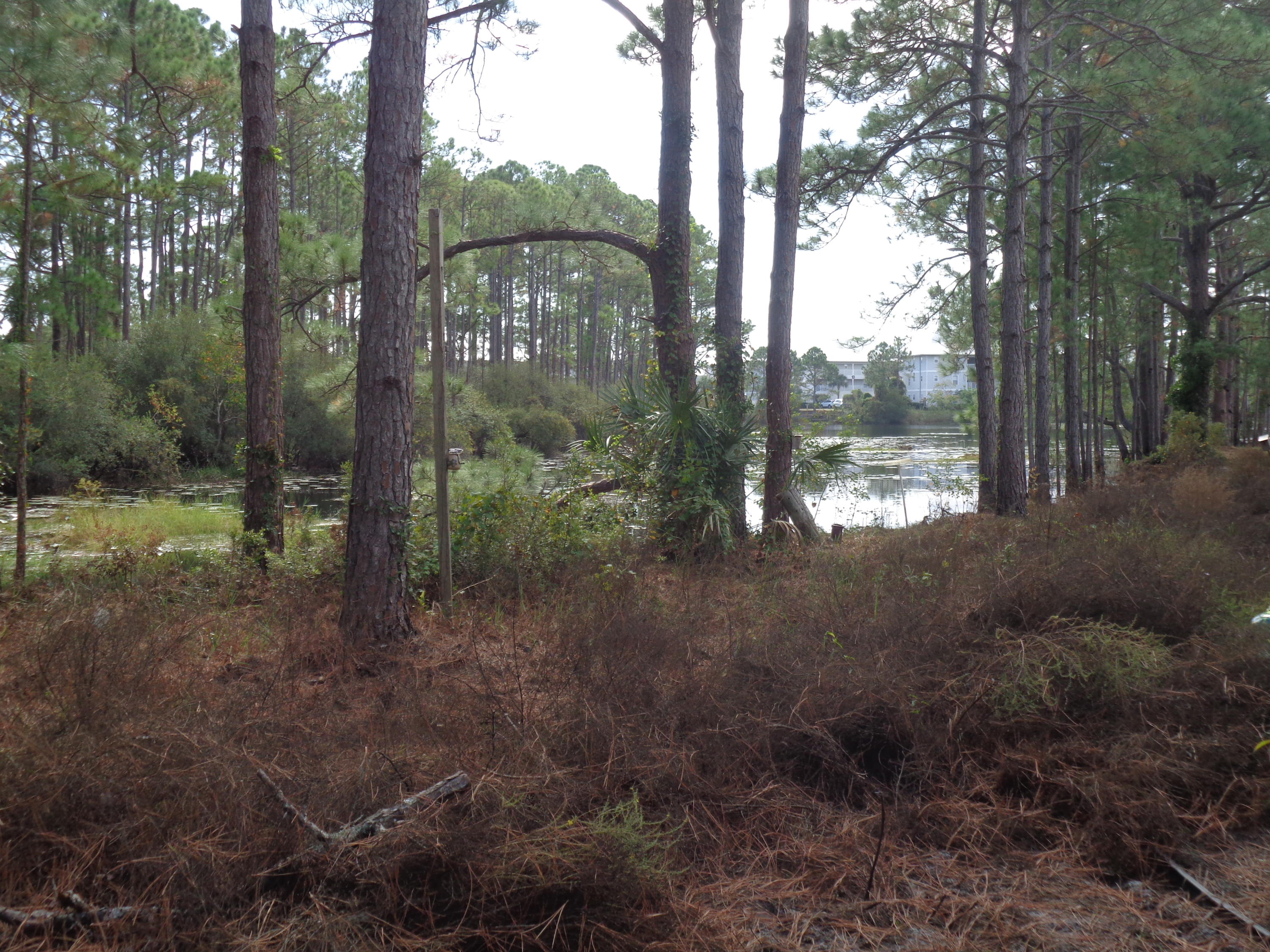 Rare find, south of 30-A with 75' overlooking Tresca Lake, with nearby beach access. No HOA, no build out times. Eastern Lake boat/kayak launch across street, easy access to 30-A's bike path, close to great restaurants and shopping. Parcel ID reflects 3 lots, all being sold separately.***Buyer is responsible for personally verifying details about this property. Any information contained in this listing is believed to be accurate but is not guaranteed.***