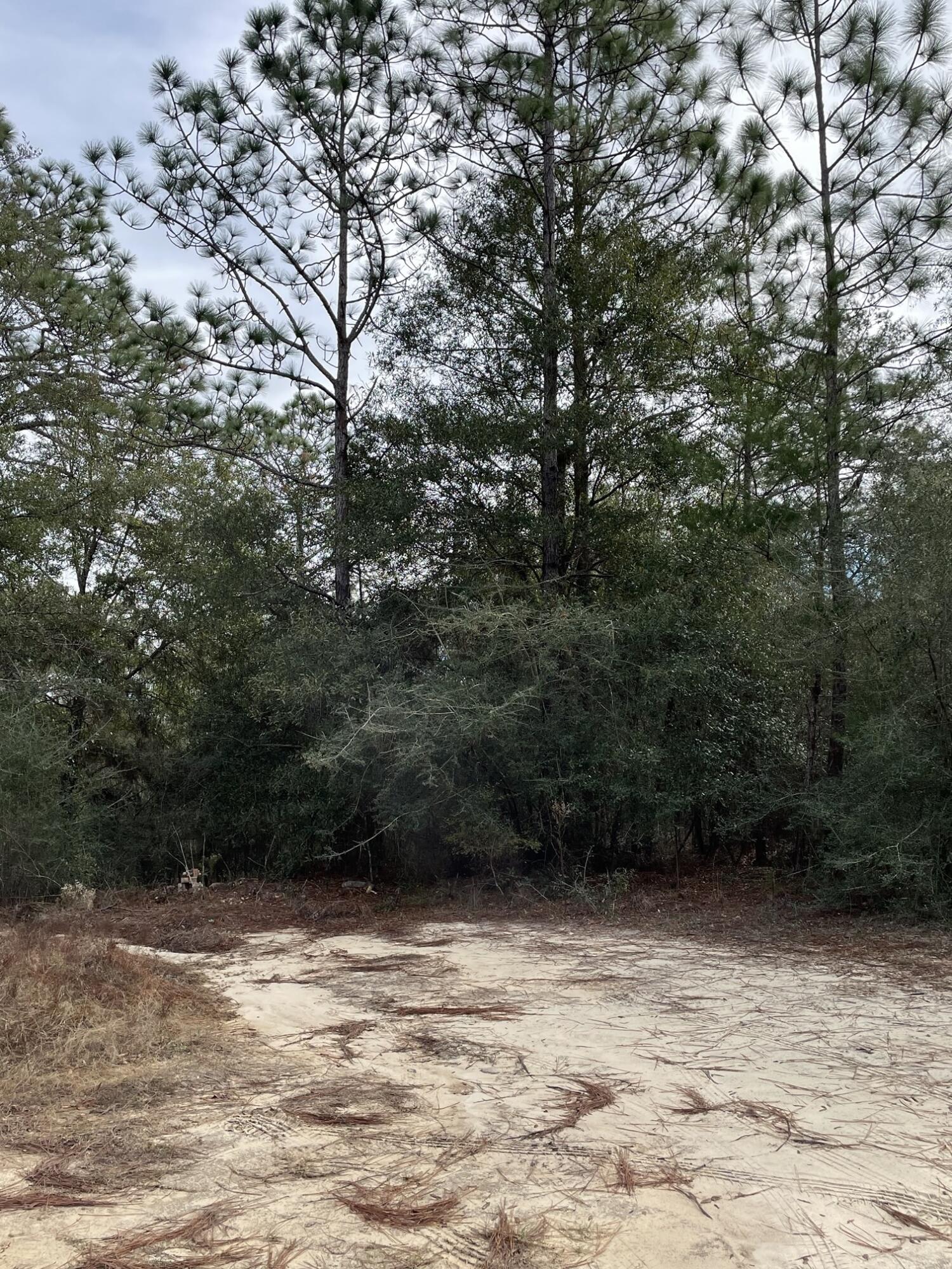 JUNIPER LAKE ESTATES - Land