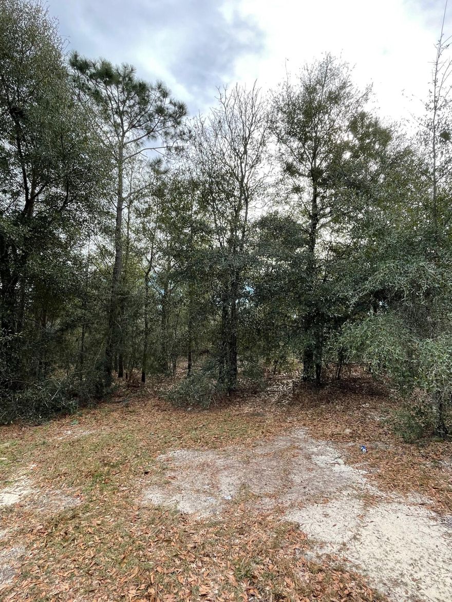 Great opportunity to purchase a large, private, wooded lot located at the end of a quiet cul-de-sac in North Walton County in Defuniak Springs. This residential lot is approximately 1.86 acres (253x320) and ideally situated with easy access to and from US Hwy 90 and US Hwy 331. Contact Lisa Laflure for additional information.