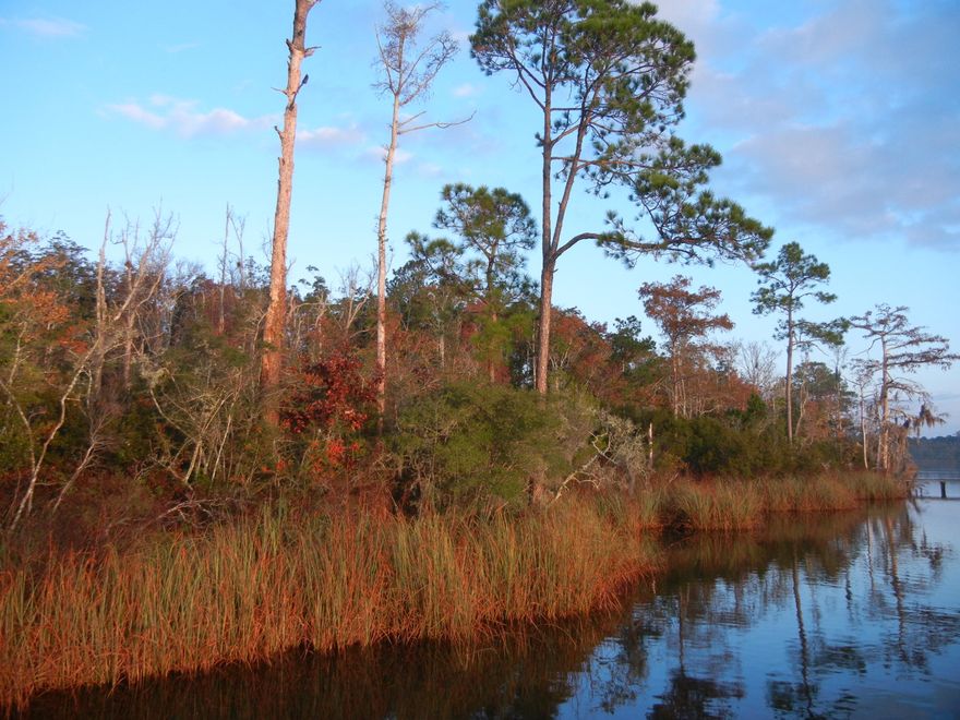 New price! Lots on Alaqua Bayou don't hit the market very often. Check out this property: significant potential for the person with the vision to make it happen! It includes both pines and hardwood, probably in the 40-70 year old range. To have a dock on the bayou will require a boardwalk, along with necessary permitting, but the setting is fantastic!Buildings will require at least some elevation for most of the lot. There is a portion of the lot that is flood zone X. The majority is flood zone AE, (FLE 8'); with wetlands also covering a significant amount of the eastern 1/2.For the nature lovers out there, this property provides a beautiful and peaceful setting.