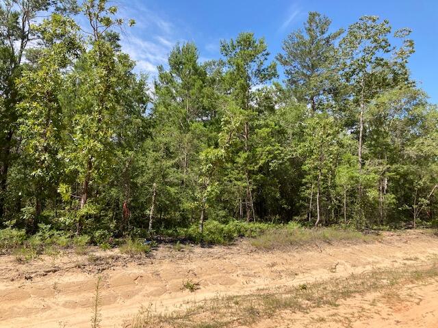 Oakwood Hills Unit 1 - Land