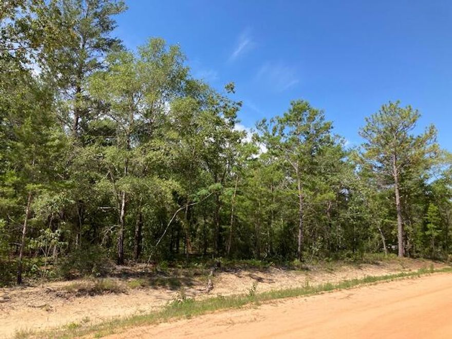 NICE LOT IN MOSSYHEAD -- This .23 acre lot measures 80' wide by 125' deep.  It is level and wooded, and will require a well, septic tank, and power pole to be installed at buyer expense. You can put a mobile or modular home on this lot or build your dream home.  The lot next door is also for sale for an additional $8,500. All dimensions and acreage to be verified by buyer at buyer expense.  No survey.