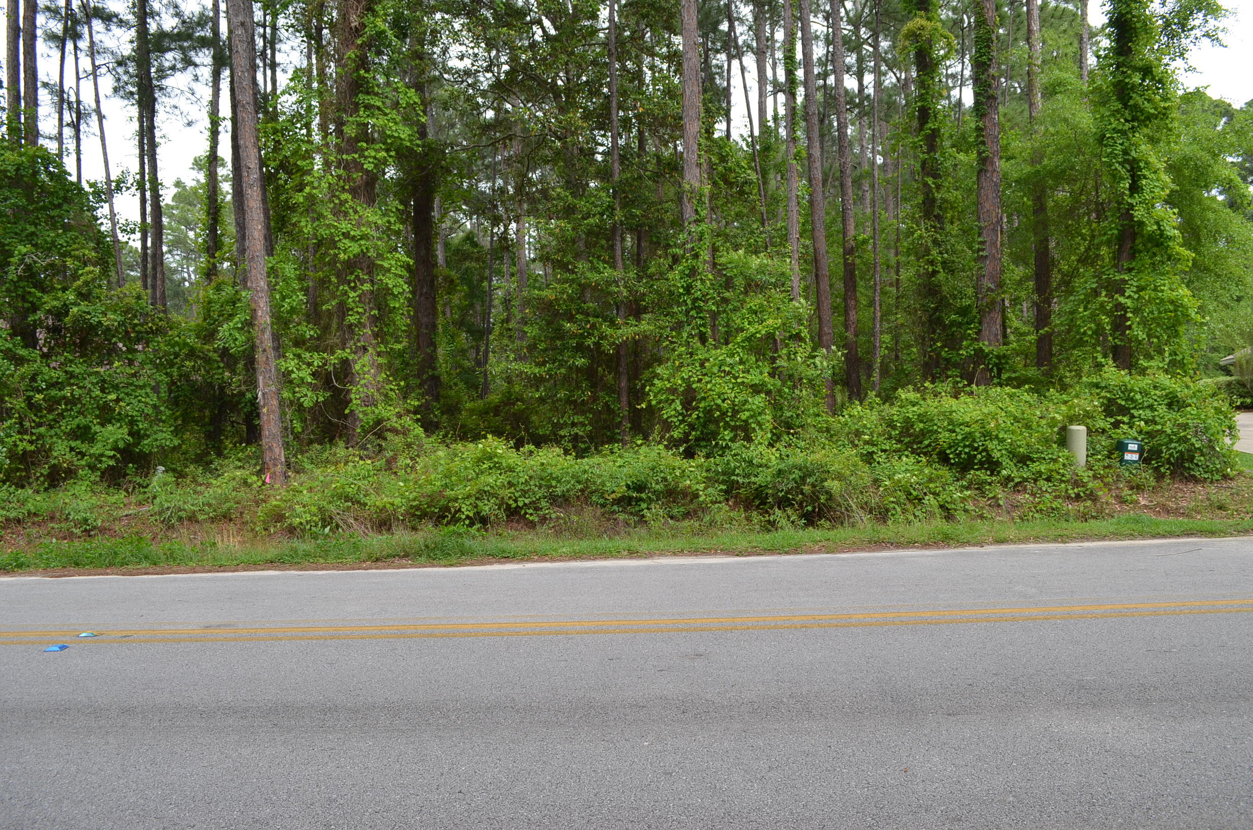 DRIFTWOOD ESTATES - Land