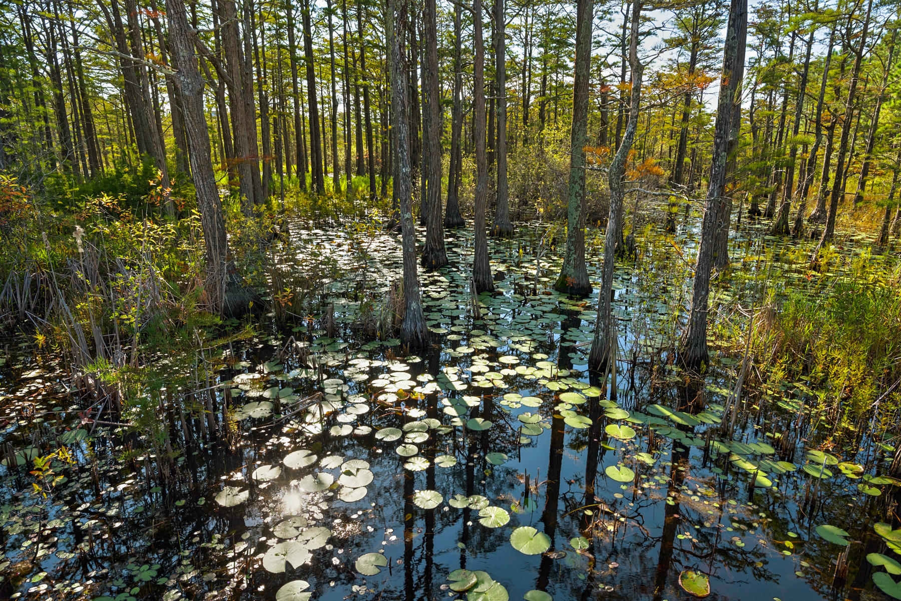 CYPRESS DUNES - Residential