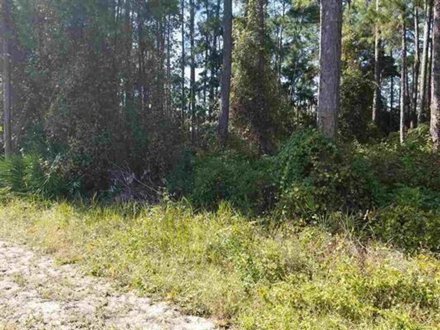 GREAT building lot which is high and dry and ready to build your dream home on. Beautiful wooded lot with large oaks and located in Freeport, Fl. Enjoy boating on the Choctawhatchee Bay or fising in Four Mile Creek or going to the World's Most Beautiful Beaches which is just minutes away. Located on Hwy 20 between Niceville and Panama City Beach, this location offer easy access to fine or casual dining, shopping, entertainment and so much more. Call for more details. Buyer to verify all data and dimentions.