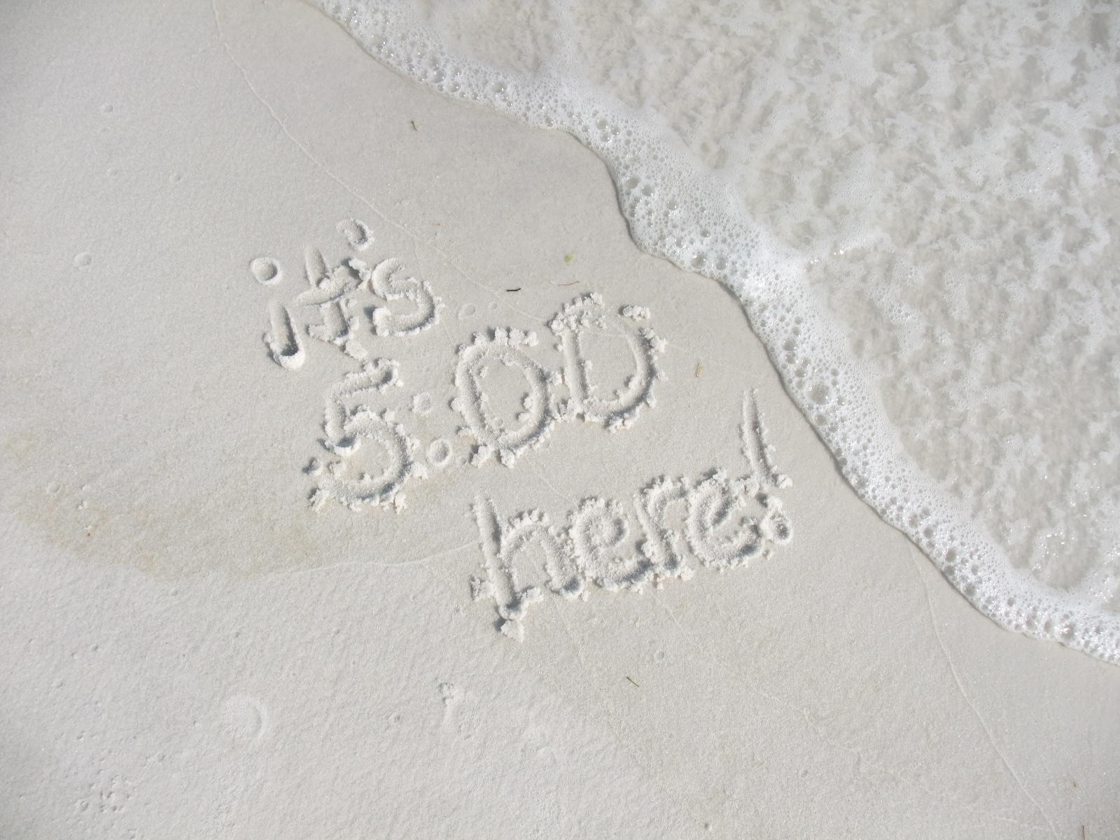 CRYSTAL VILLAGE 2 CONDO PH 4 - Residential