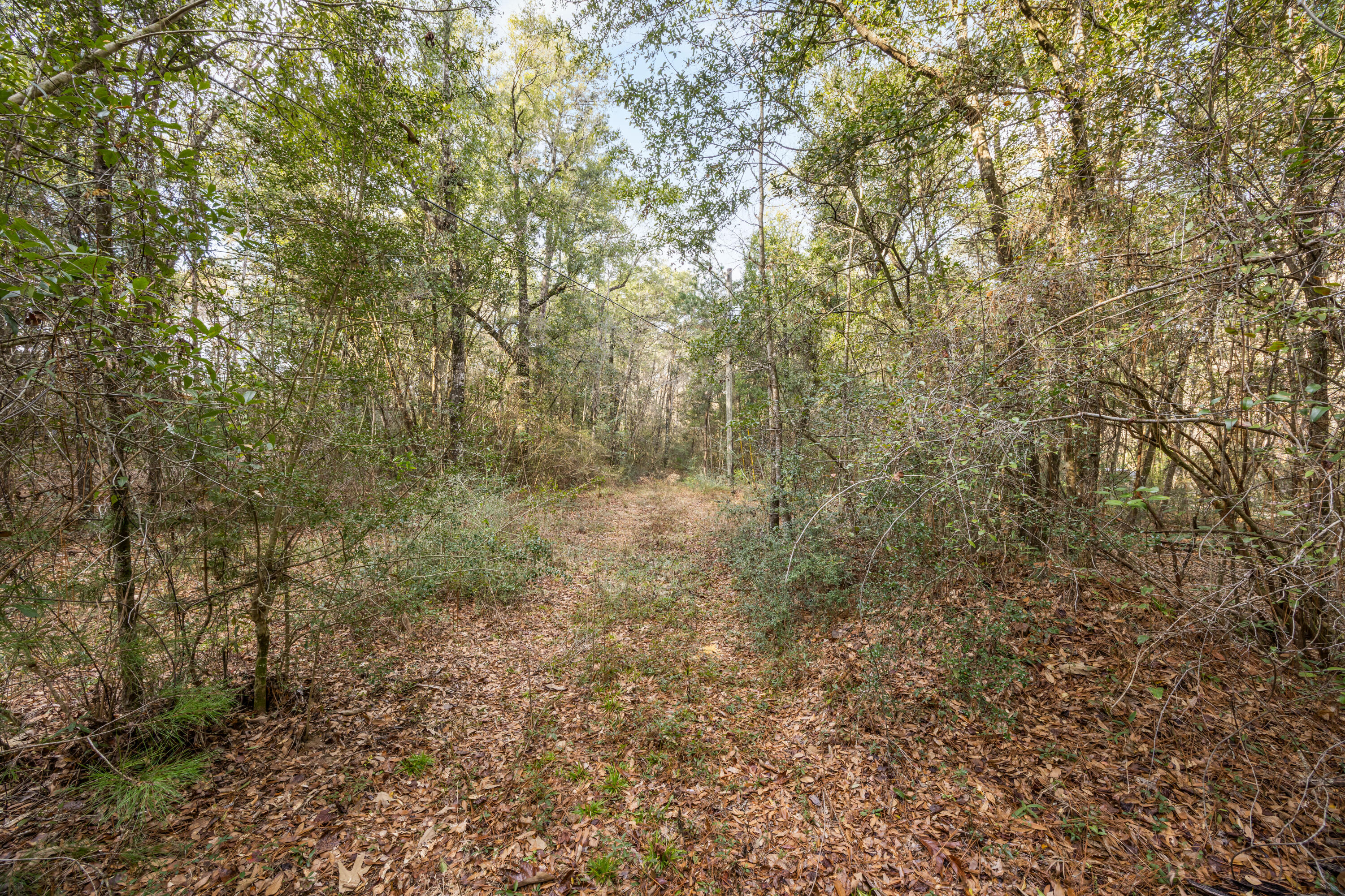 RIVERCHASE RETREAT - Land