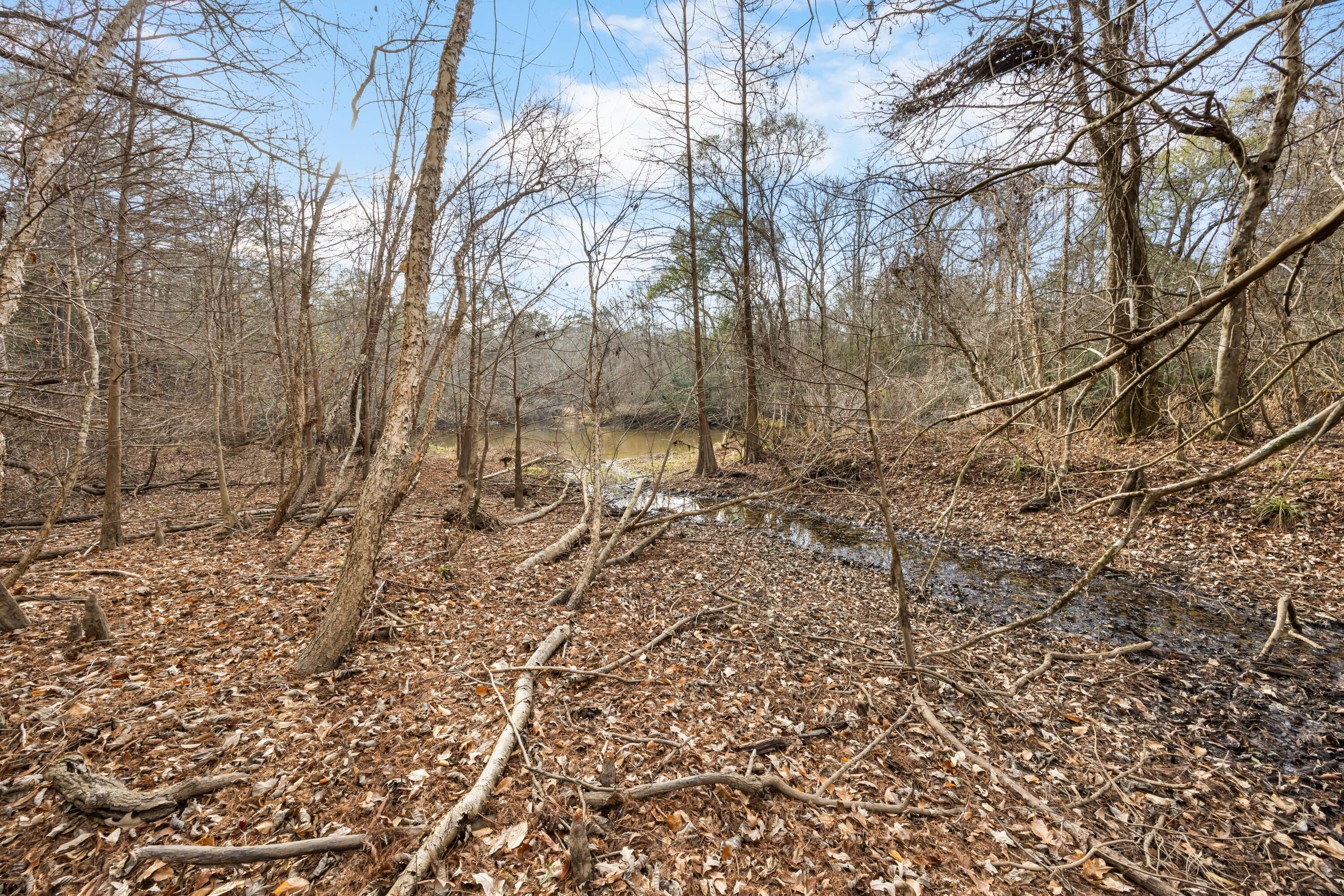 RIVERCHASE RETREAT - Land