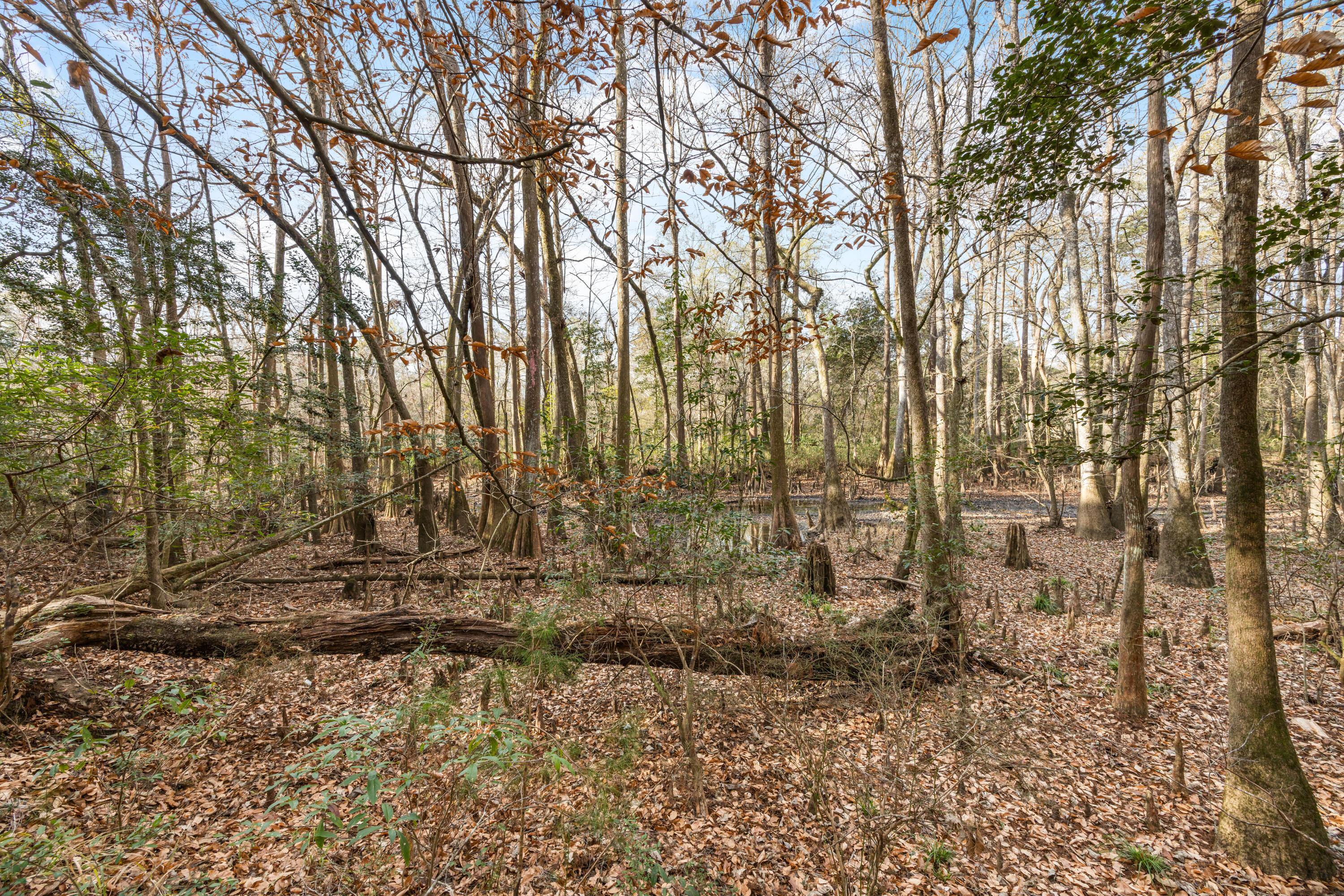 RIVERCHASE RETREAT - Land