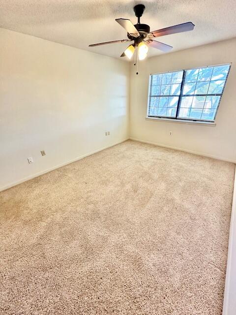 LIVESAY T/H - Residential