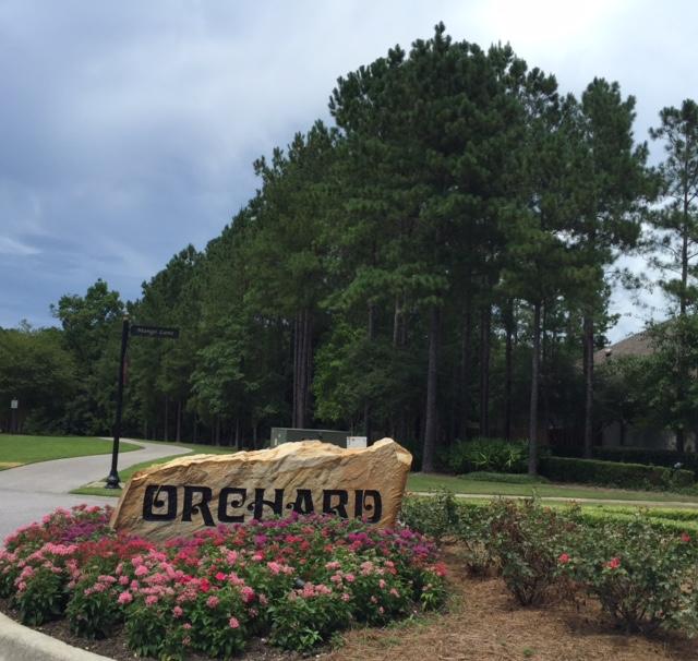 HAMMOCK BAY - Land