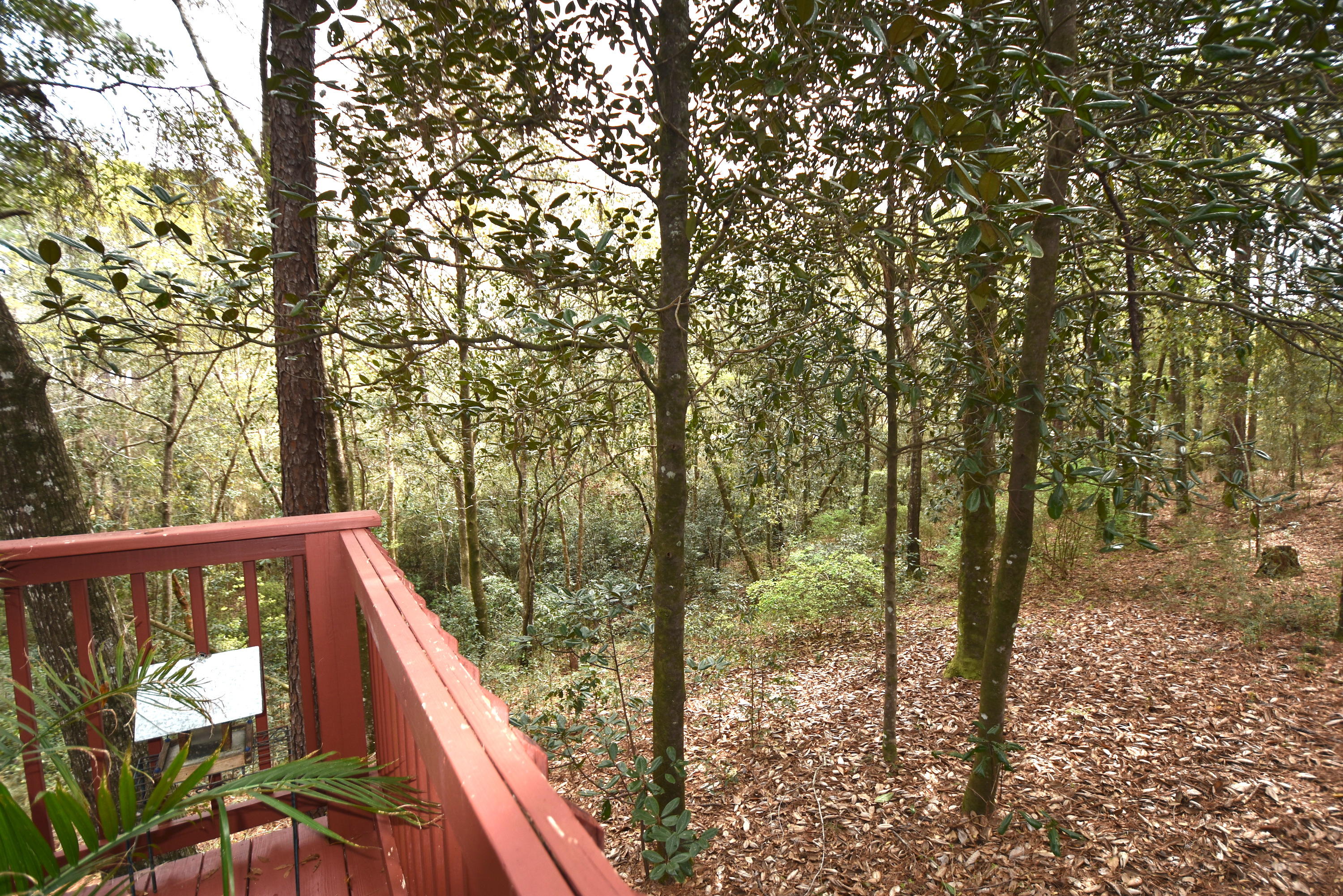 LAURELWOOD ESTATES - Residential