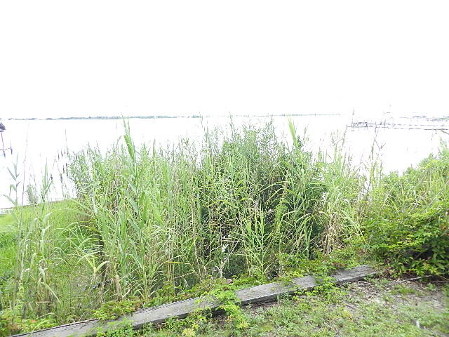 UNRECORDED SUBDIVISION - Residential