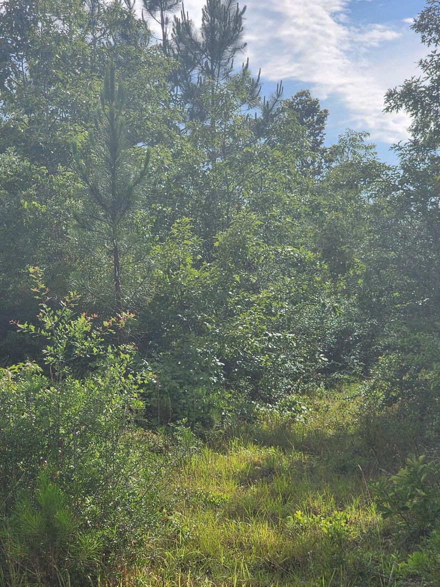 Beautiful property in Laurel Hill, bring your house plans and build that barndominium while you enjoy the serentity of the country setting without being too far out from town.