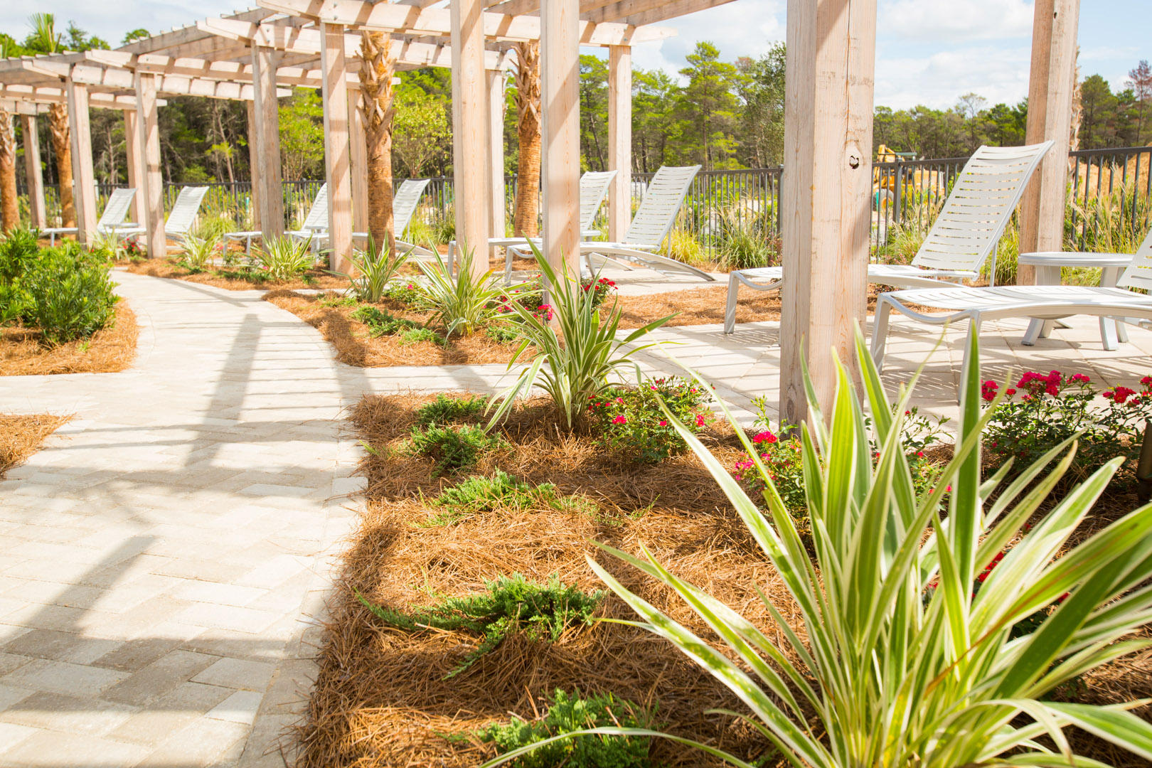 PROMINENCE/TRIPLEX TOWNHOMES - Residential